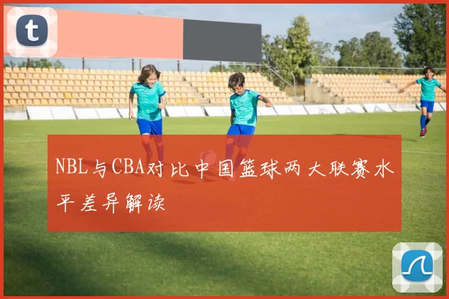 NBL与CBA对比中国篮球两大联赛水平差异解读