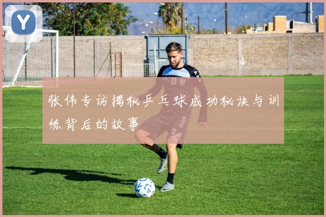 张伟专访揭秘乒乓球成功秘诀与训练背后的故事