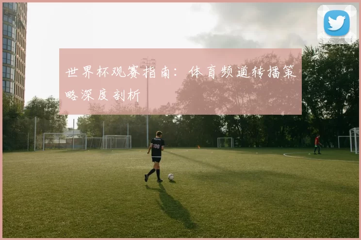 世界杯观赛指南：体育频道转播策略深度剖析
