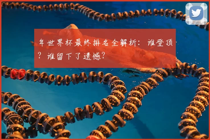 年世界杯最终排名全解析:谁登顶?谁留下了遗憾?