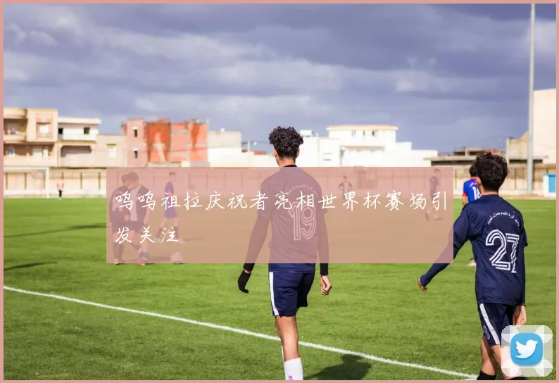 呜呜祖拉庆祝者亮相世界杯赛场引发关注