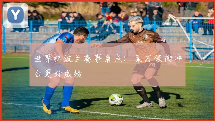 世界杯波兰赛事看点:莱万领衔冲击更好成绩