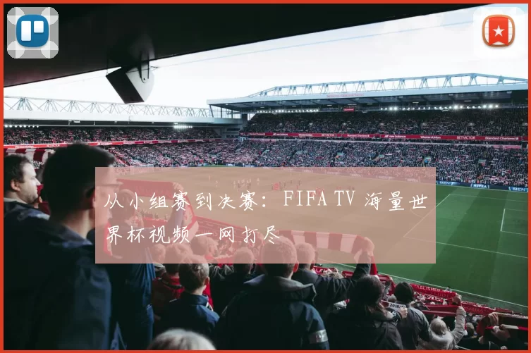 从小组赛到决赛：FIFA TV 海量世界杯视频一网打尽