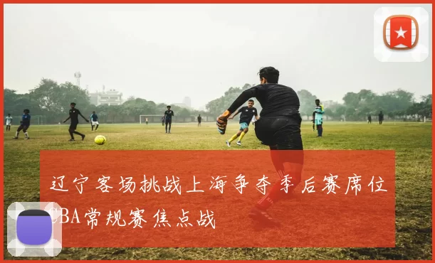 辽宁客场挑战上海争夺季后赛席位CBA常规赛焦点战