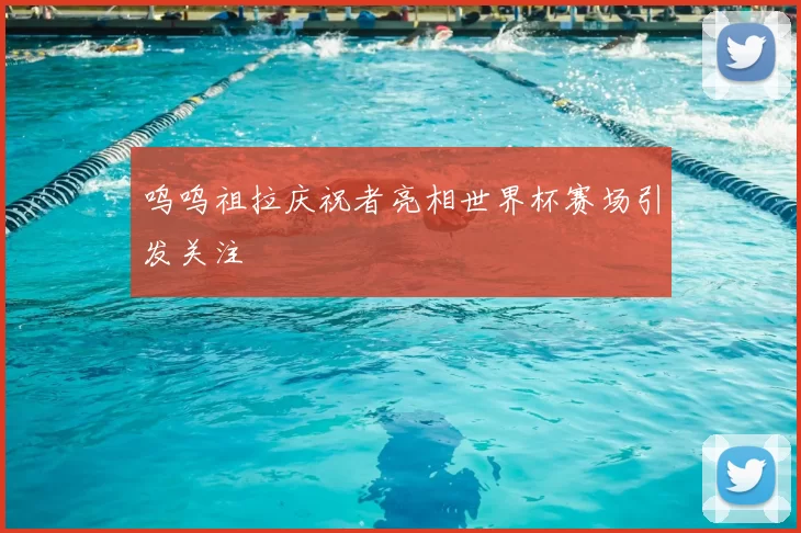 呜呜祖拉庆祝者亮相世界杯赛场引发关注