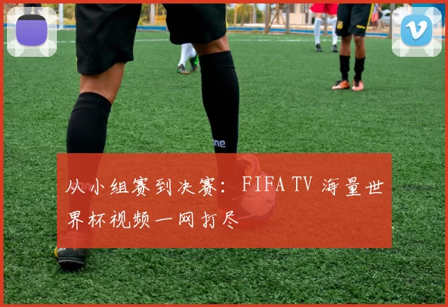 从小组赛到决赛：FIFA TV 海量世界杯视频一网打尽
