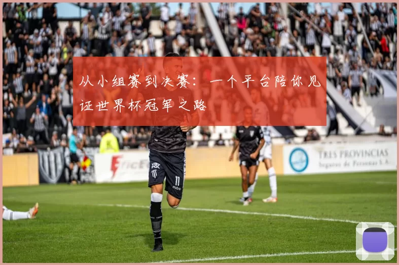 从小组赛到决赛:一个平台陪你见证世界杯冠军之路