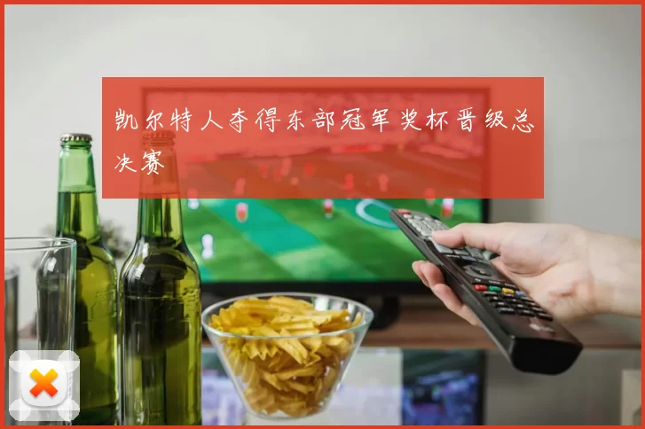 凯尔特人夺得东部冠军奖杯晋级总决赛