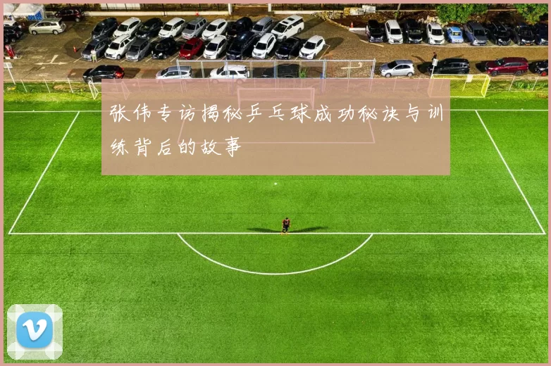 张伟专访揭秘乒乓球成功秘诀与训练背后的故事