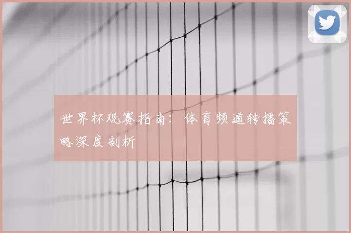世界杯观赛指南:体育频道转播策略深度剖析