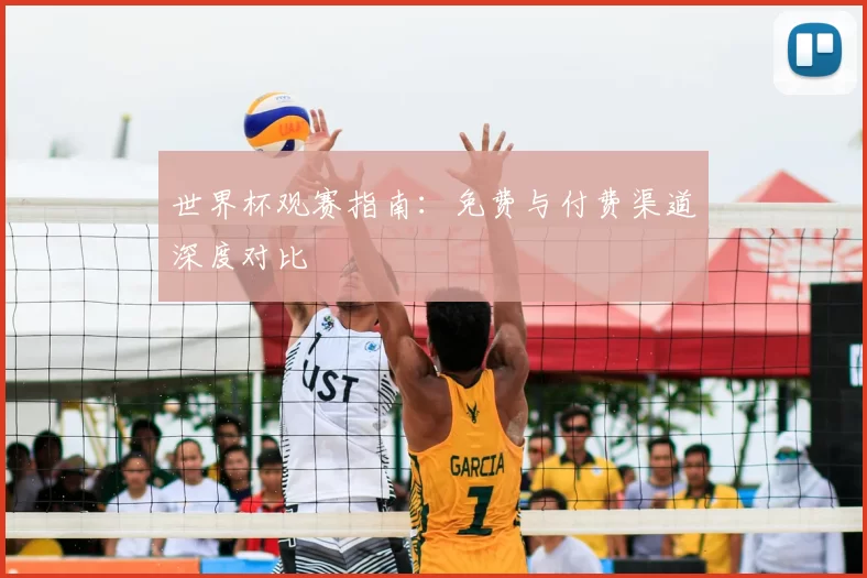 世界杯观赛指南:免费与付费渠道深度对比